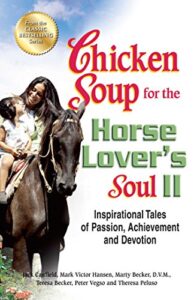 Chicken Soup for the Horse Lovers Soul 2 Dawn Shipman