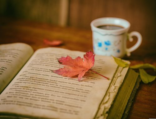 What Your Reading Says About You!